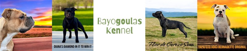 BAYOGOULAS
